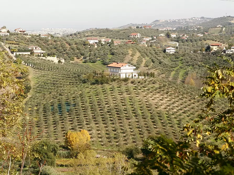 Immagine 1 di Rustico / casale in vendita  a Moscufo