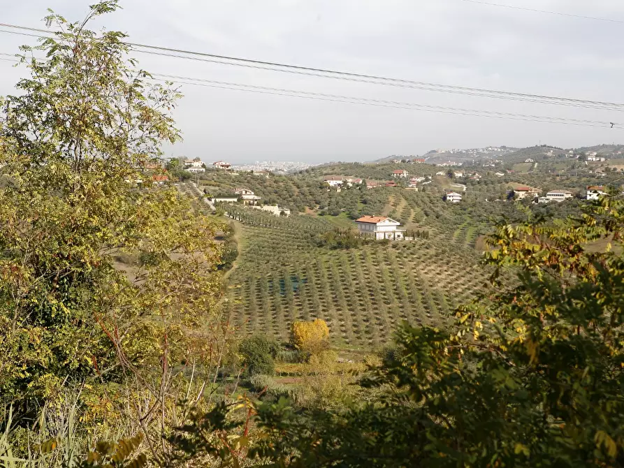 Immagine 10 di Rustico / casale in vendita  a Moscufo