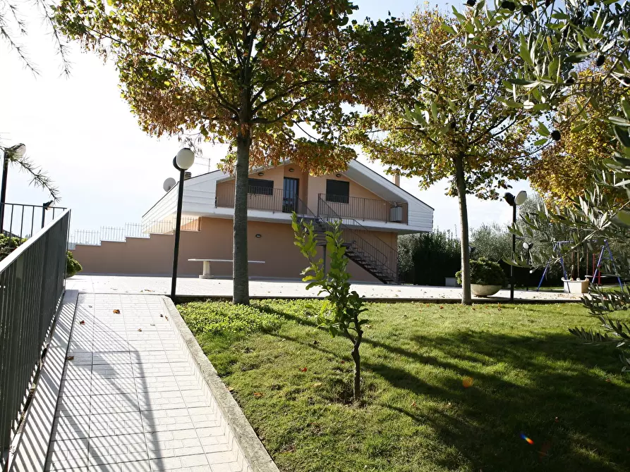 Immagine 5 di Rustico / casale in vendita  a Moscufo