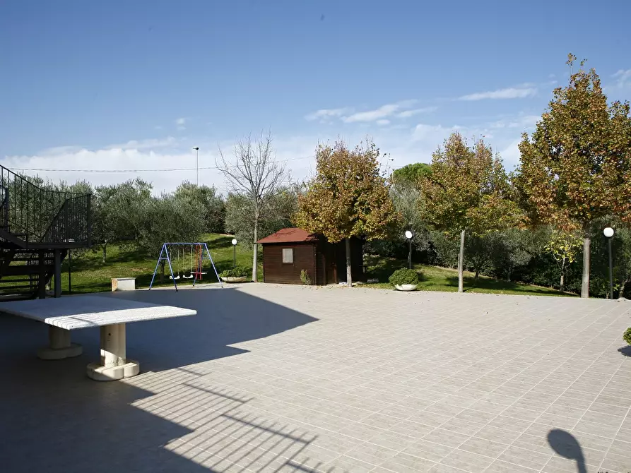 Immagine 15 di Rustico / casale in vendita  a Moscufo