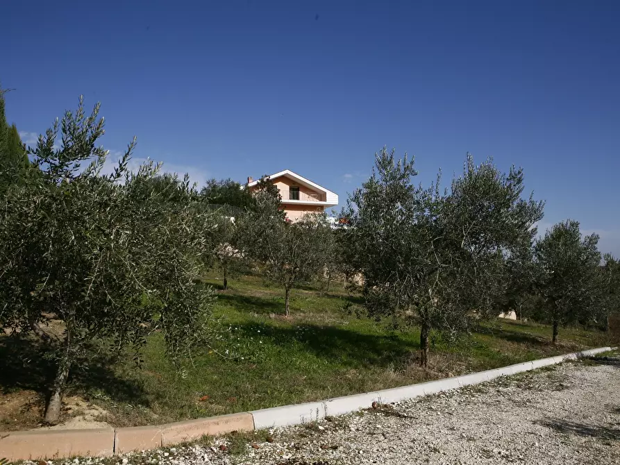 Immagine 17 di Rustico / casale in vendita  a Moscufo