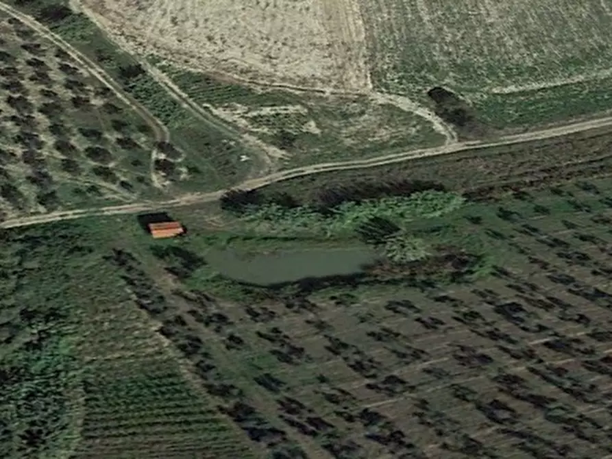 Immagine 9 di Rustico / casale in vendita  a Moscufo