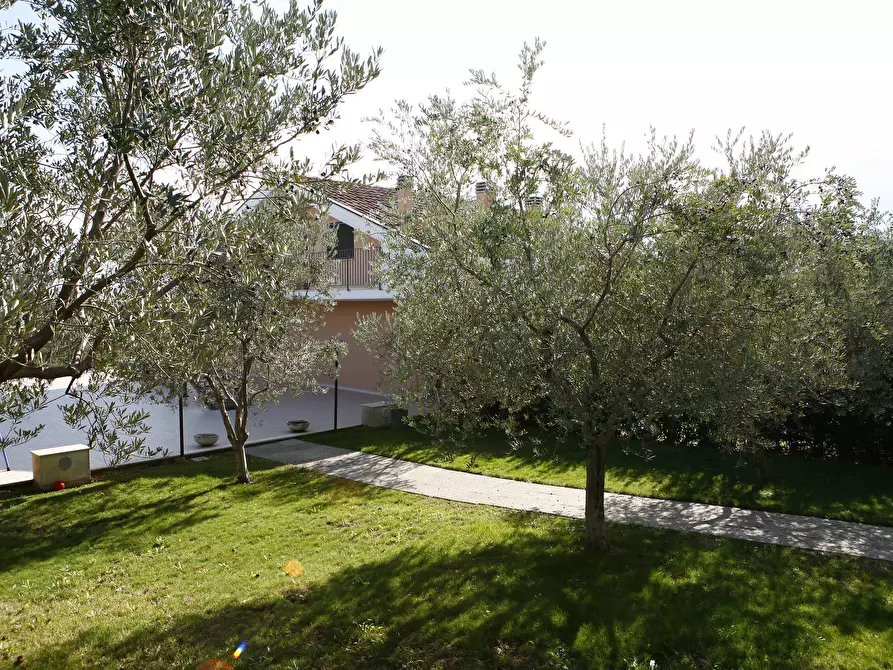 Immagine 7 di Rustico / casale in vendita  a Moscufo