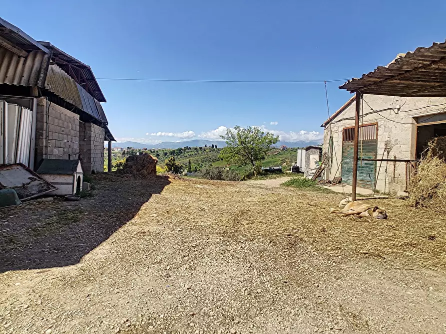 Immagine 4 di Appartamento in vendita  a Spoltore