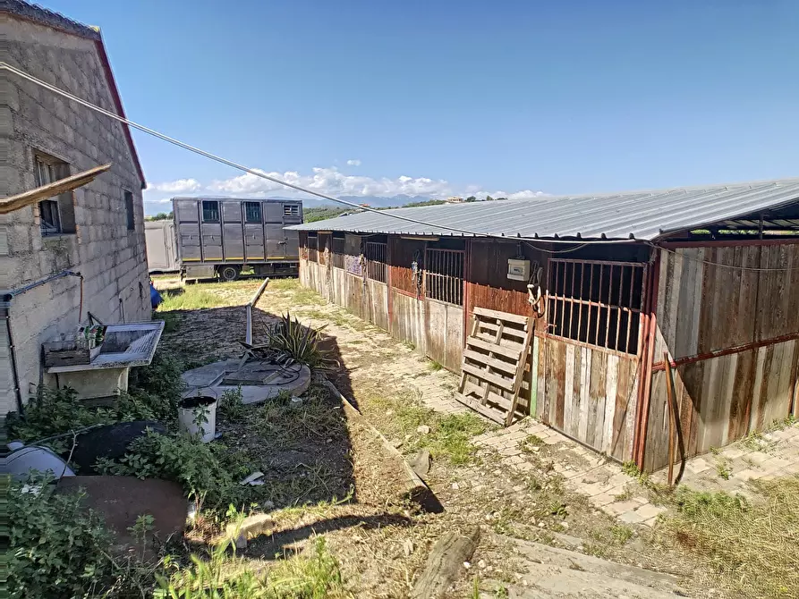 Immagine 6 di Appartamento in vendita  a Spoltore