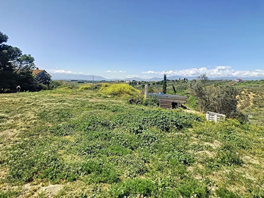 Immagine 9 di Appartamento in vendita  a Spoltore