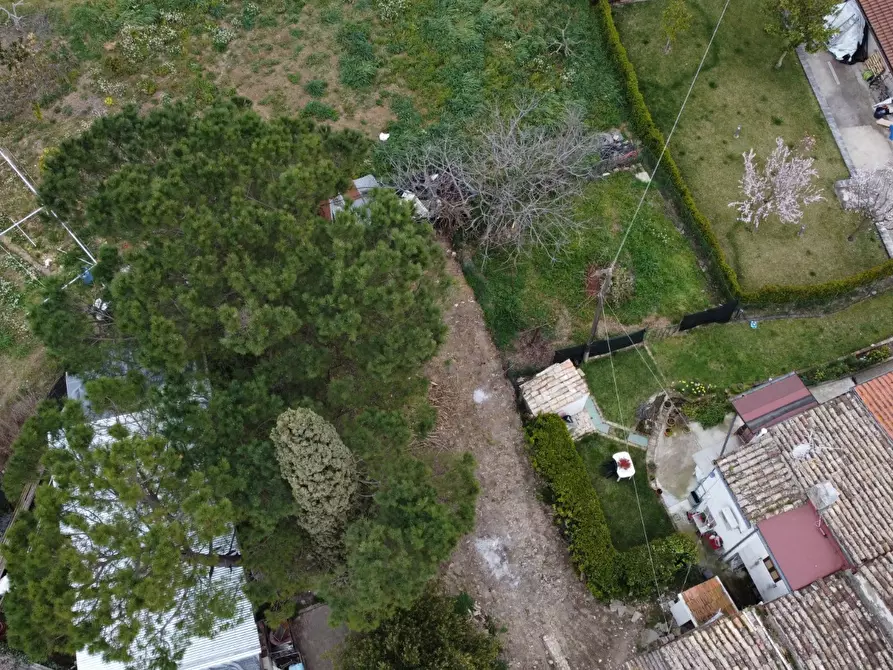 Immagine 3 di Appartamento in vendita  a Collecorvino