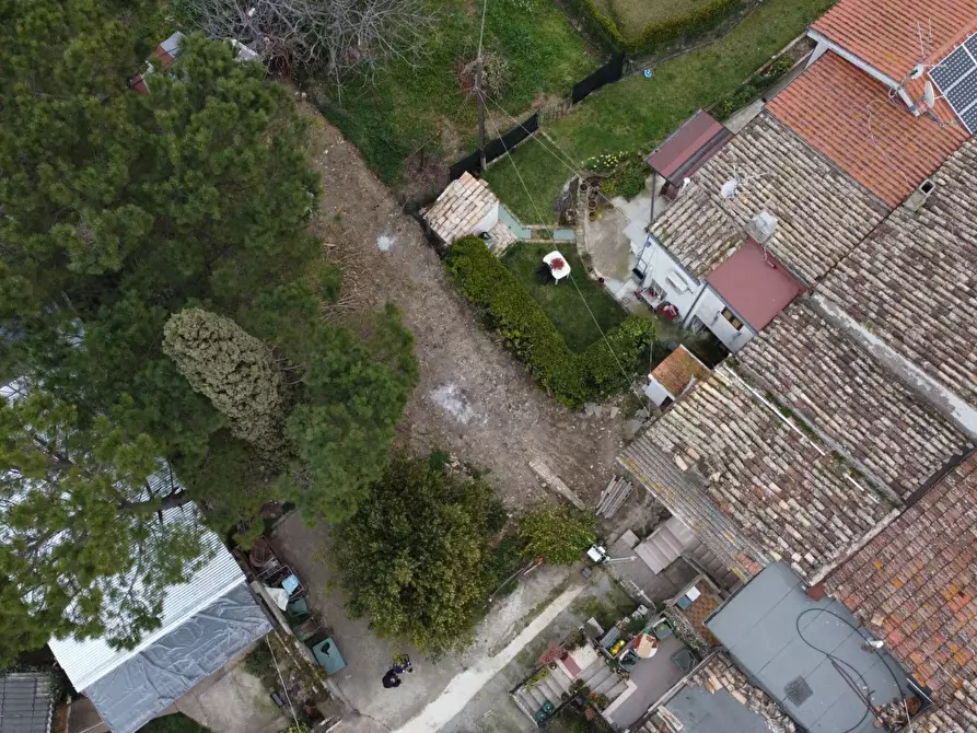 Immagine 9 di Appartamento in vendita  a Collecorvino