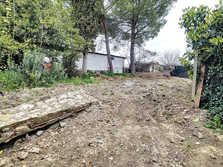 Immagine 24 di Appartamento in vendita  a Collecorvino