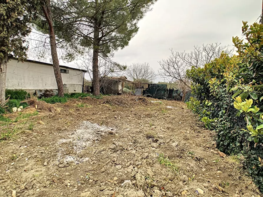 Immagine 25 di Appartamento in vendita  a Collecorvino