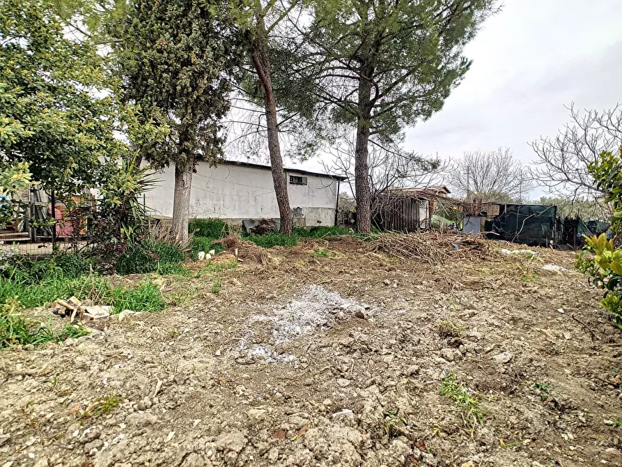 Immagine 26 di Appartamento in vendita  a Collecorvino