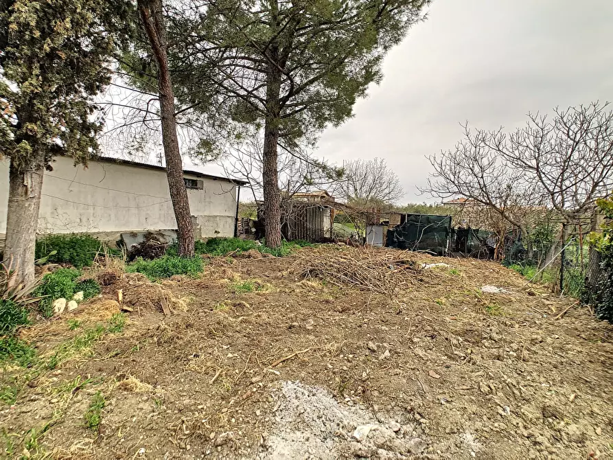 Immagine 27 di Appartamento in vendita  a Collecorvino