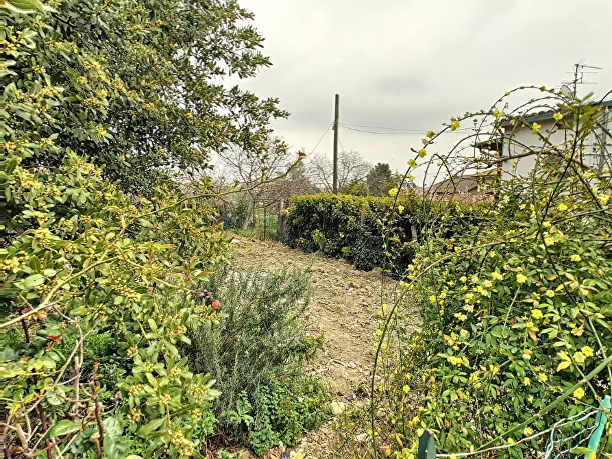 Immagine 33 di Appartamento in vendita  a Collecorvino