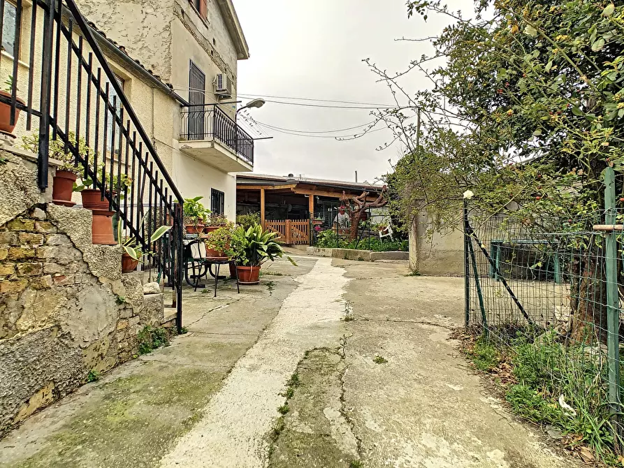 Immagine 34 di Appartamento in vendita  a Collecorvino