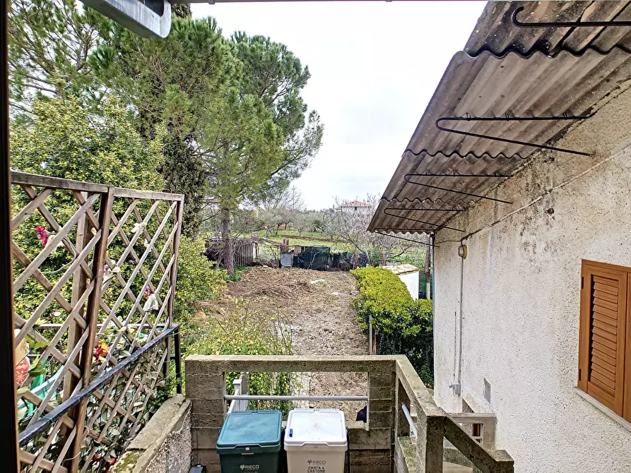 Immagine 37 di Appartamento in vendita  a Collecorvino