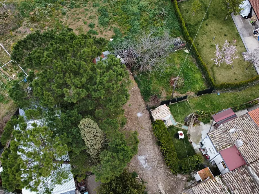 Immagine 41 di Appartamento in vendita  a Collecorvino