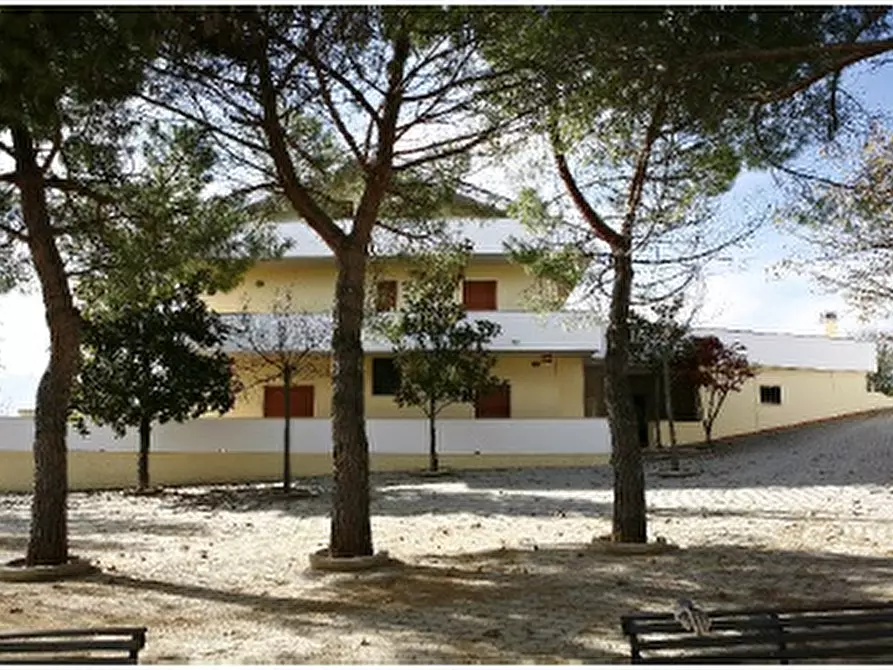Immagine 3 di Villa in vendita  a Ripa Teatina