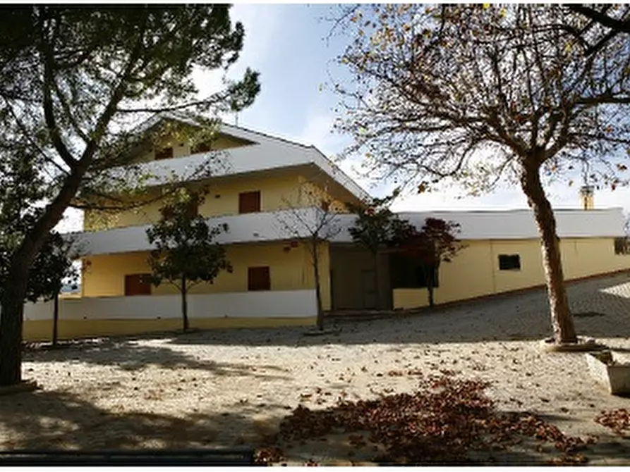 Immagine 6 di Villa in vendita  a Ripa Teatina