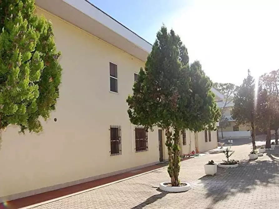 Immagine 7 di Villa in vendita  a Ripa Teatina