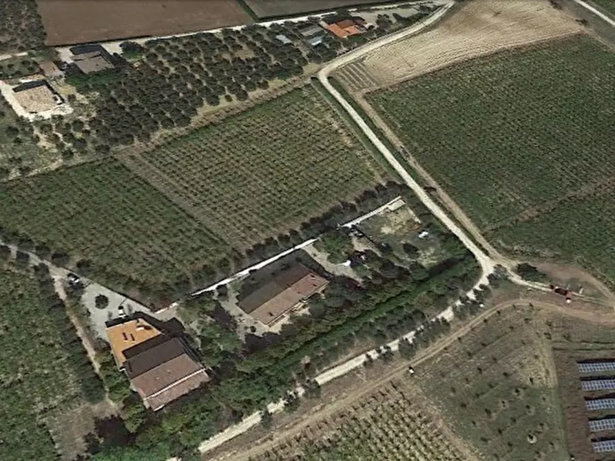 Immagine 2 di Villa in vendita  a Ripa Teatina