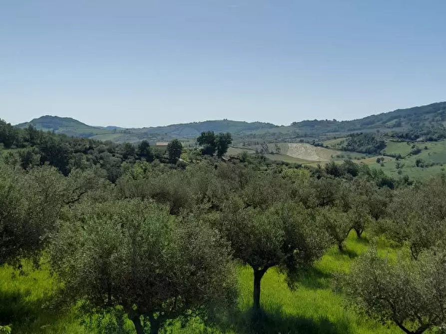 Immagine 5 di Appartamento in affitto  a Farindola