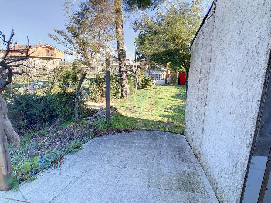 Immagine 6 di Capannone industriale in affitto  a Spoltore