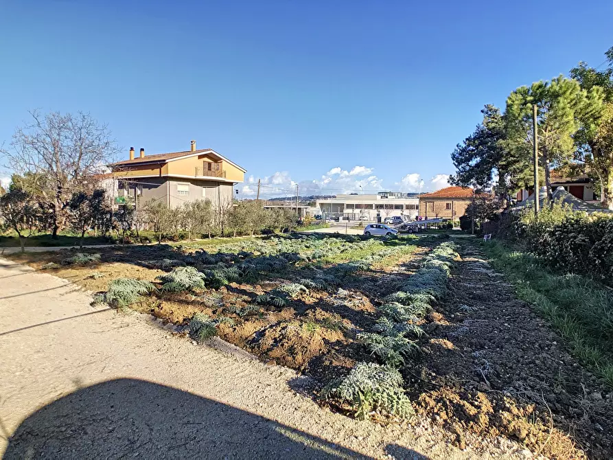 Immagine 9 di Capannone industriale in affitto  a Spoltore