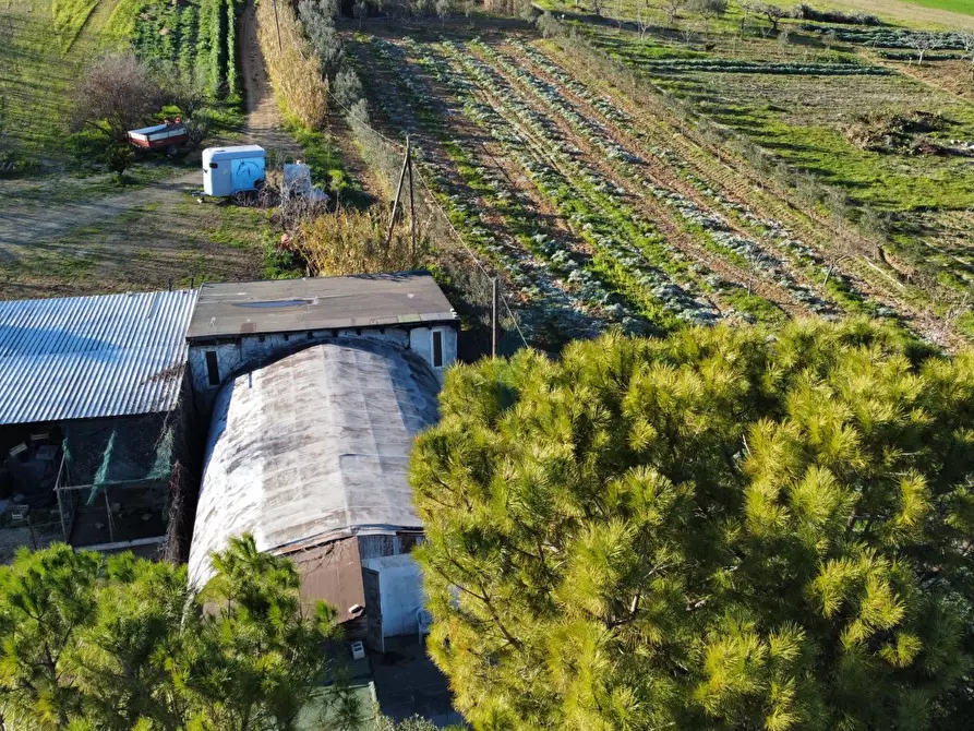 Immagine 17 di Capannone industriale in affitto  a Spoltore
