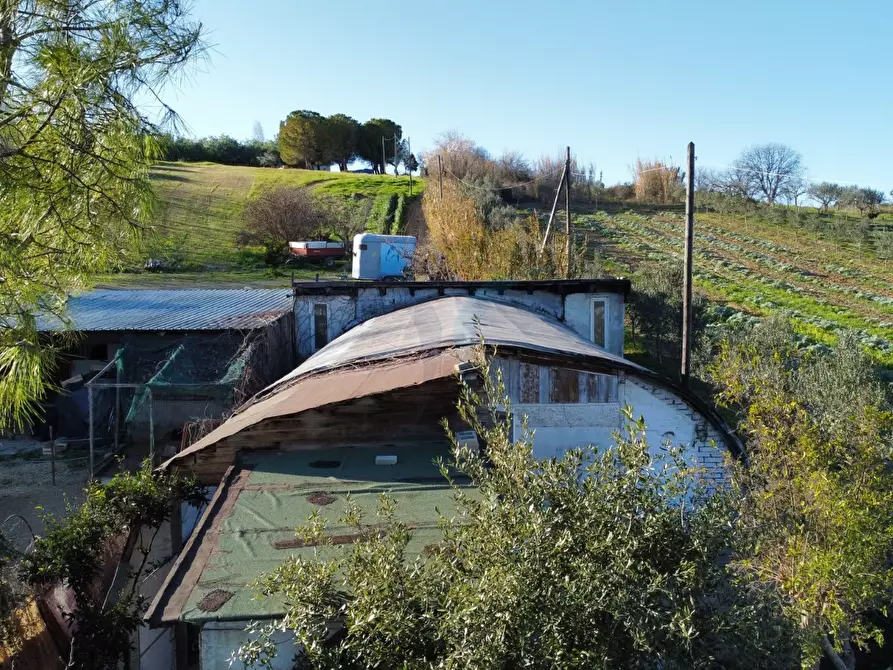 Immagine 19 di Capannone industriale in affitto  a Spoltore