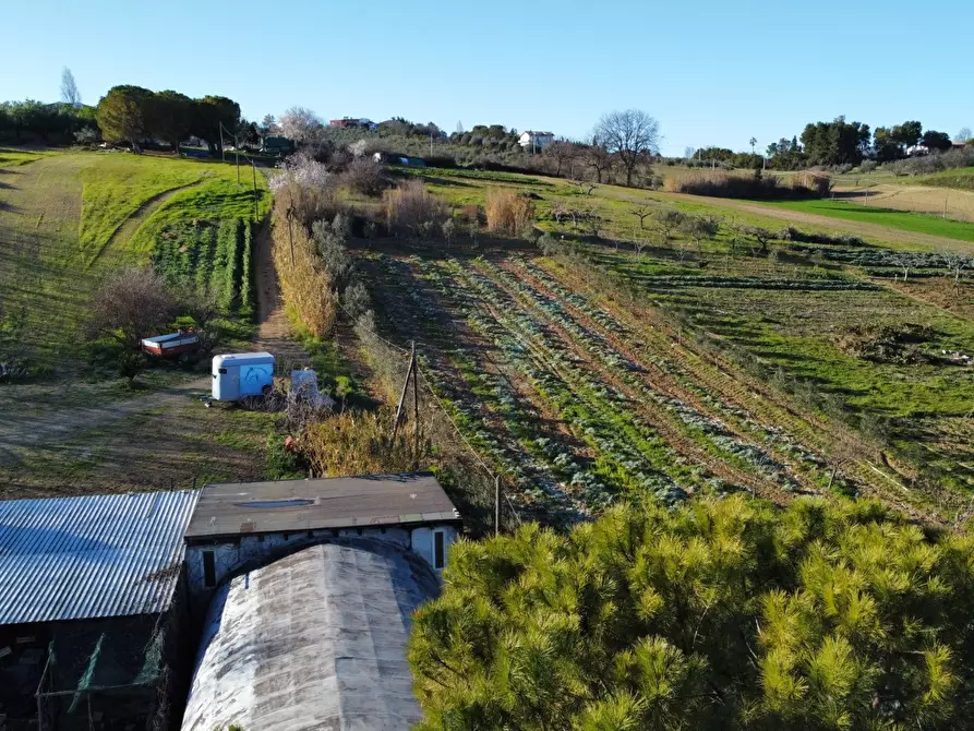 Immagine 20 di Capannone industriale in affitto  a Spoltore