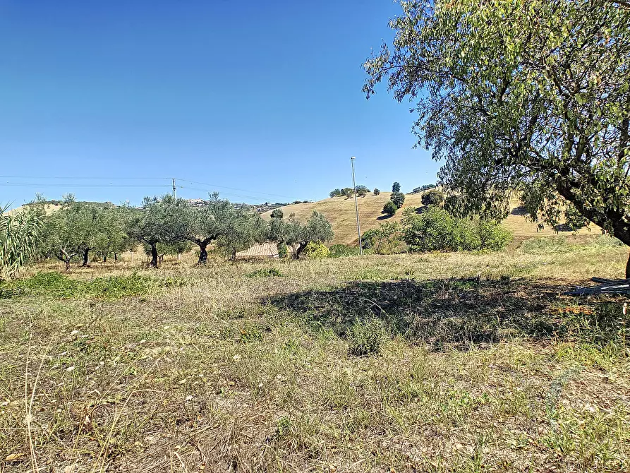 Immagine 12 di Appartamento in vendita  a Città Sant'angelo