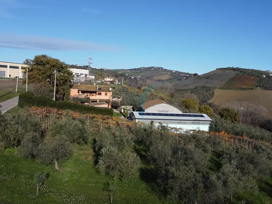 Immagine 16 di Appartamento in vendita  a Città Sant'angelo