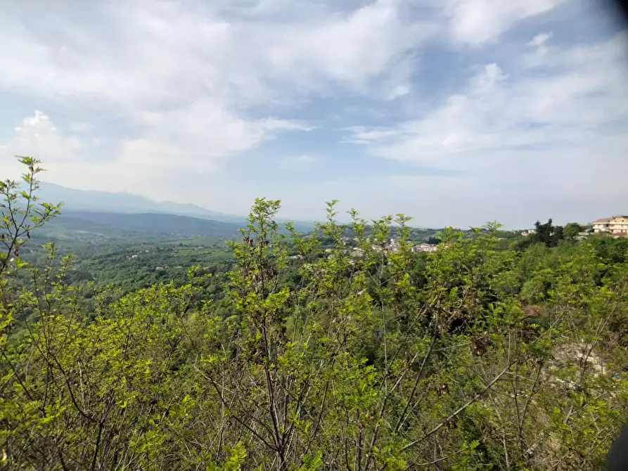 Immagine 1 di Villa in vendita  a Lettomanoppello