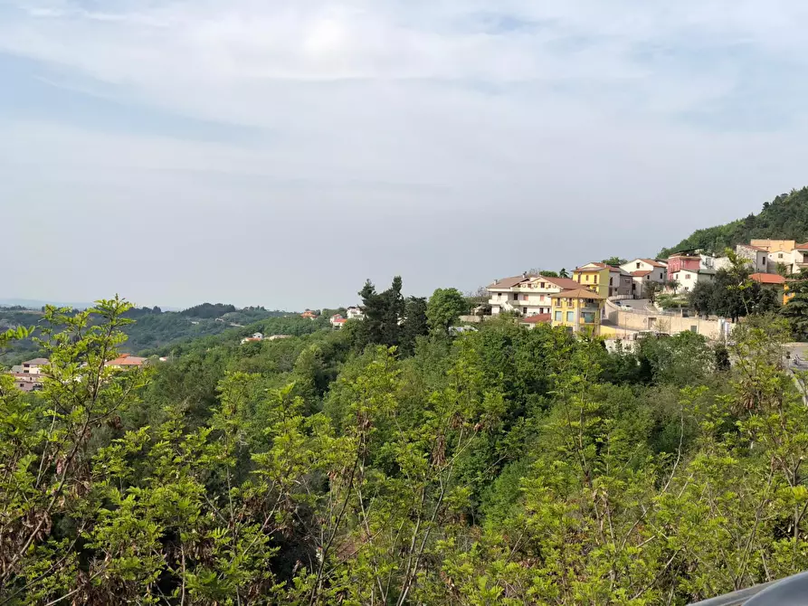 Immagine 9 di Villa in vendita  a Lettomanoppello