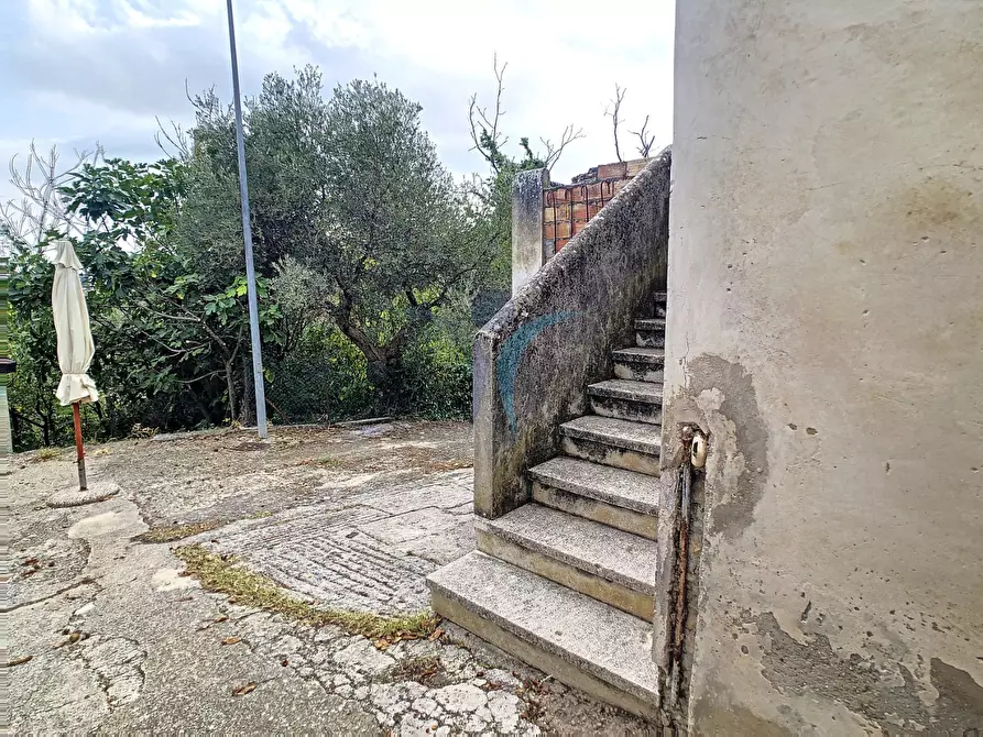 Immagine 5 di Appartamento in vendita  a Brittoli