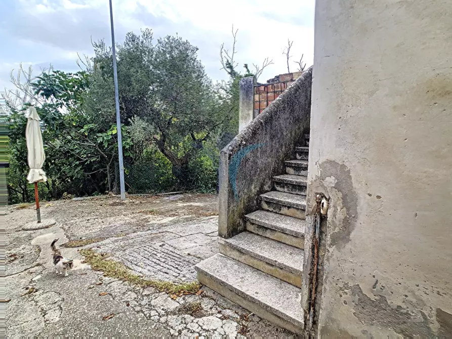 Immagine 4 di Appartamento in vendita  a Brittoli