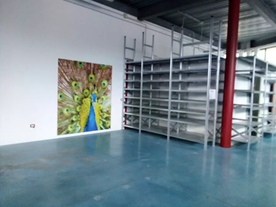 Immagine 4 di Laboratorio in affitto  in Via Cavallotti, 8 a Montesilvano