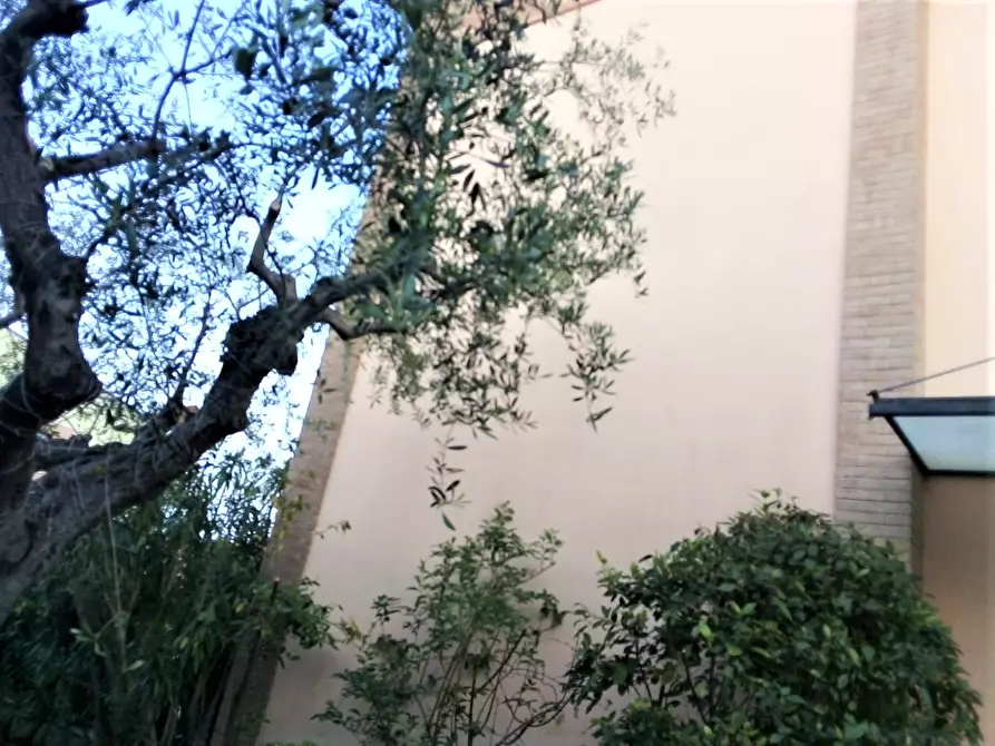 Immagine 8 di Appartamento in affitto  in Via Piomba, 29 a Città Sant'angelo