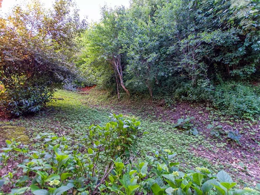 Immagine 17 di Appartamento in vendita  in via Villa di Cedrecchia, 33 A a San Benedetto Val Di Sambro