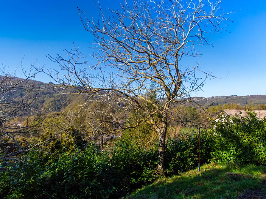 Immagine 21 di Appartamento in vendita  a Monghidoro