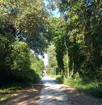 Foto annuncio 2