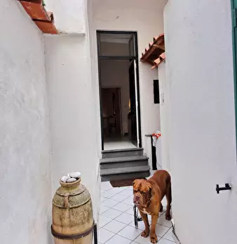 Foto annuncio 8