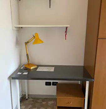 Foto annuncio 6
