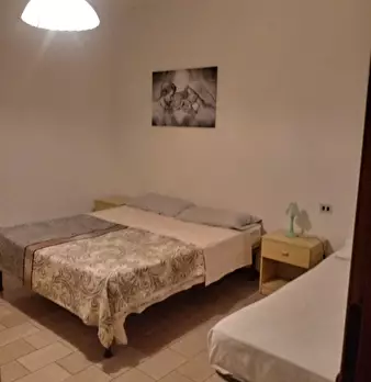 Foto annuncio 9