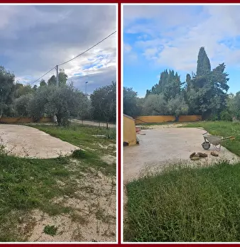 Foto annuncio 10