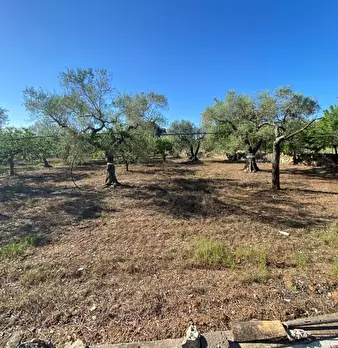 Foto annuncio 4