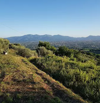 Foto annuncio 11