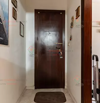 Foto annuncio 24