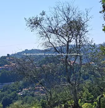 Foto annuncio 10