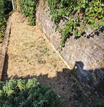 Foto annuncio 19